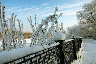 Similar image 20051126