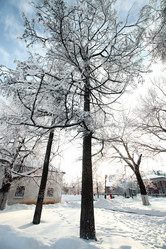 Similar image 20051130