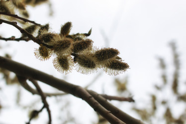 Similar image 20051132