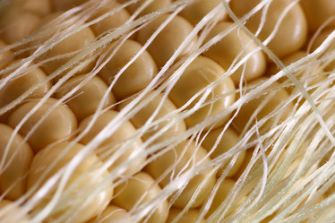 Similar image 20051146