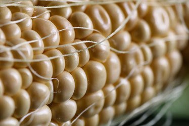 Similar image 20051148