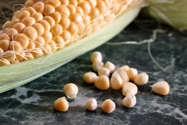 Similar image 20051149