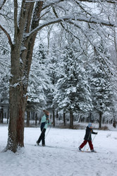 Similar image 20051154