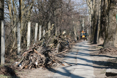 Similar image 20051156