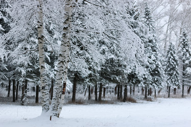 Similar image 20051157