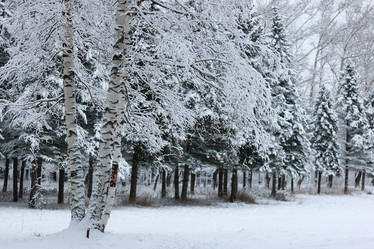 Similar image 20051158