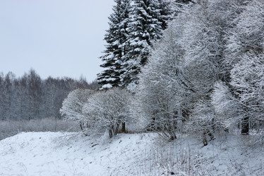 Similar image 20051160