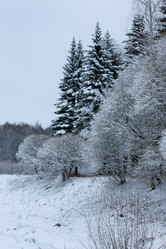 Similar image 20051161