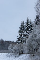 Similar image 20051162