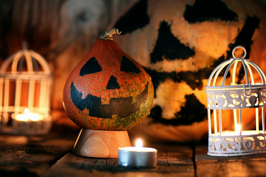 Similar image 20051163