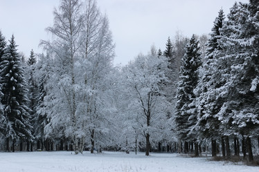 Similar image 20051166