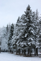 Similar image 20051167