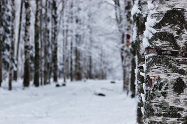 Similar image 20051168