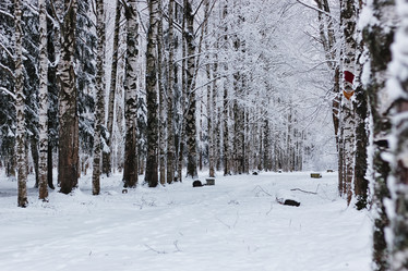 Similar image 20051169