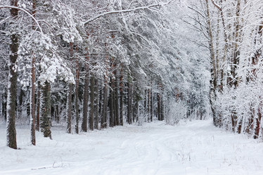 Similar image 20051172