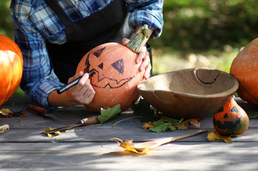 Similar image 20051173