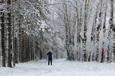 Similar image 20051175