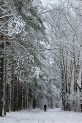 Similar image 20051177