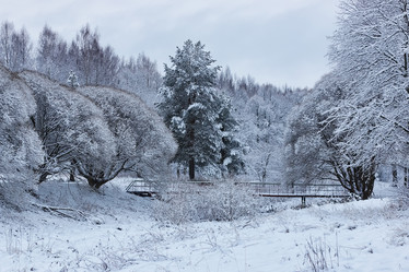 Similar image 20051179