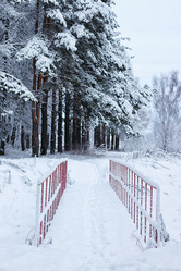 Similar image 20051185