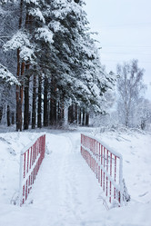 Similar image 20051186