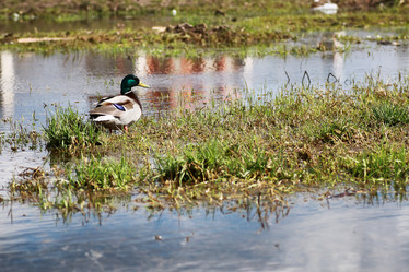 Similar image 20051187