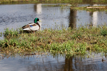 Similar image 20051188