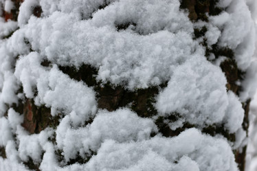 Similar image 20051192