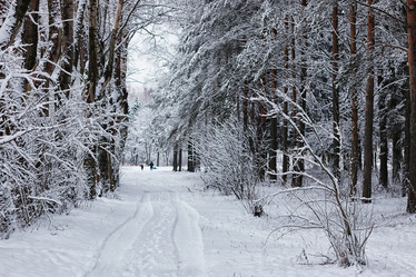 Similar image 20051193