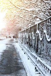 Similar image 20051196