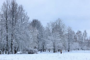 Similar image 20051200