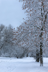 Similar image 20051213