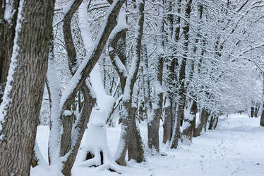 Similar image 20051217