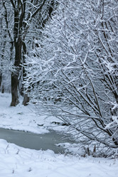 Similar image 20051228