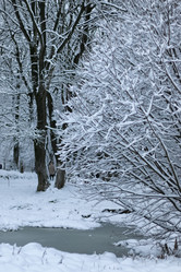 Similar image 20051229