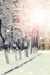 Similar image 20051239