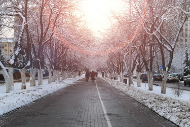 Similar image 20051240