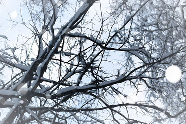 Similar image 20051243