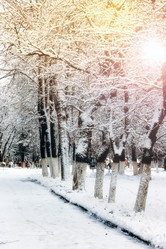 Similar image 20051244