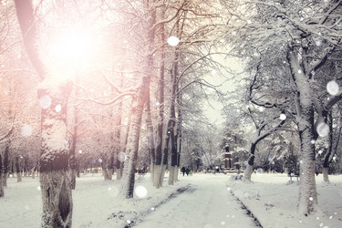 Similar image 20051250