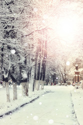 Similar image 20051255