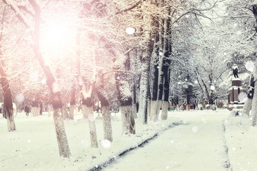 Similar image 20051257