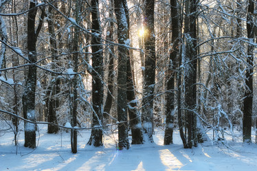 Similar image 20051278