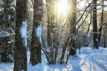 Similar image 20051279