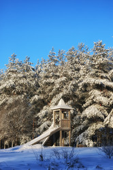 Similar image 20051281