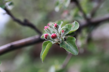 Similar image 20051305