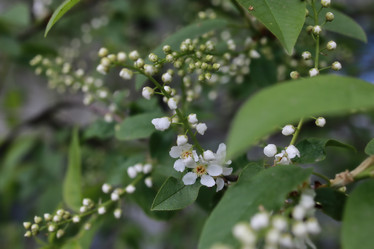 Similar image 20051310