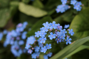 Similar image 20051311