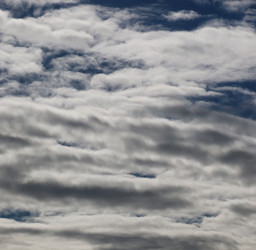 Similar image 20051313