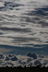 Similar image 20051315